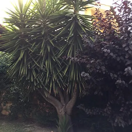 לינה וארוחת בוקר Ariora